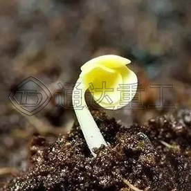 牛糞有機肥的魔力